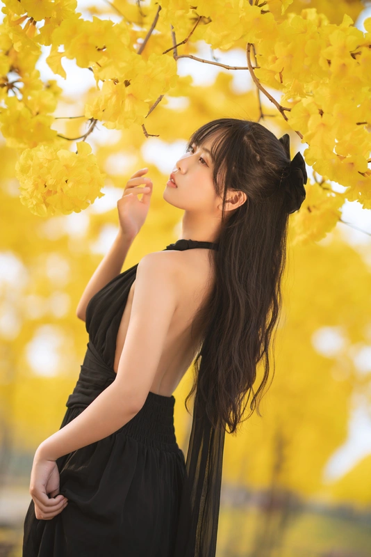 秋有银杏 春有黄风铃 - 萌芽儿o0