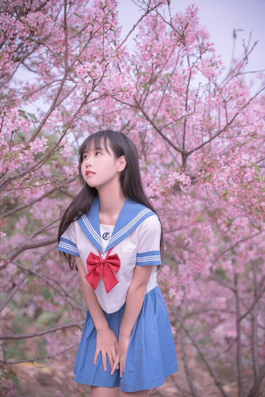 樱花jk - 萌芽儿o0